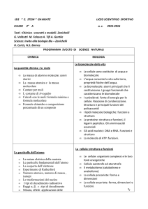 Scienze Naturali - stein" gavirate