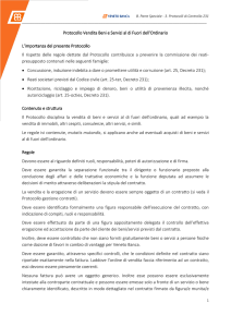 Protocollo Vendita beni e servizi al di fuori dell