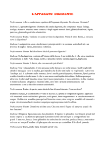 Visualizza il testo audio