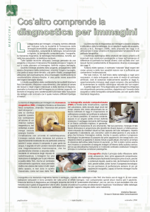 Cos`altro comprende la diagnostica per immagini Cos`altro