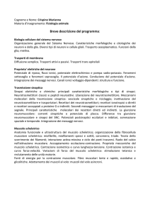 Fisiologia animale - Dipartimento di Biologia