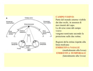 CAMPO VISIVO - Facoltà di Medicina e Psicologia