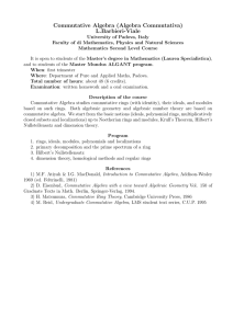 Commutative Algebra (Algebra Commutativa) L