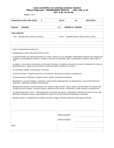 PSQ 11 04 programma svolto