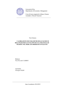 Tesi di laurea: CALIBRAZIONE DEI PARAMETRI DELLE