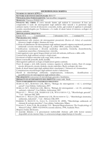 2--Programmi Guida 2011-12 _F.Peluso