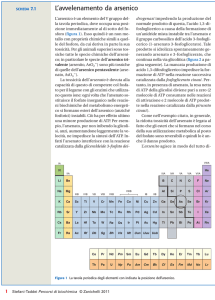 L`avvelenamento da arsenico - Zanichelli online per la scuola
