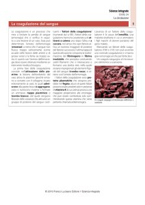 La coagulazione del sangue - Zanichelli online per la scuola