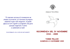 ricorrenza del iv novembre 1918 - 2009