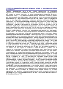 Vedi allegato