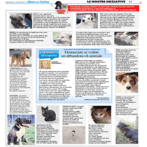 Il Resto del Carlino 14 maggio 2014