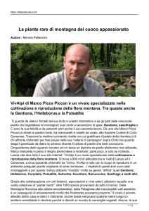 Le piante rare di montagna del cuoco appassionato