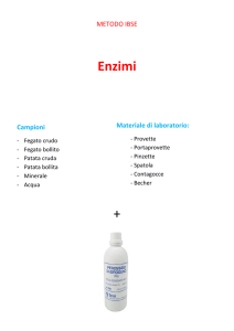 Enzimi