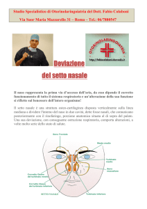 Deviazione del setto nasale