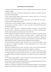 Terapie Terme di salice