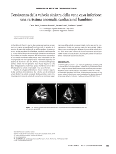 Persistenza della valvola sinistra della vena cava inferiore: una