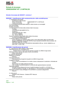 Scheda di sicurezza VENEZIAGRAF KP 1,5 ANTIALGA