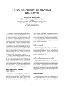 l`uso dei cerotti di fentanil nel gatto