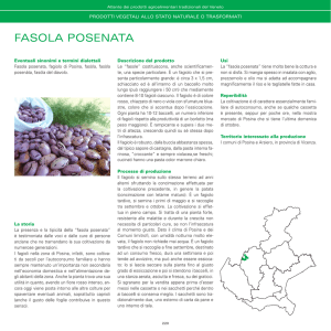 fasola posenata - Veneto Agricoltura