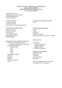 Ost 1a1s Anatomia Fenu 2005