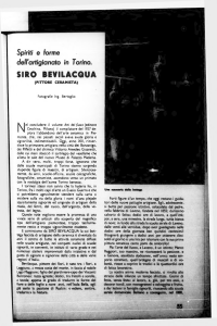 siro bevilacqua