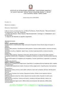 ISTITUTO DI ISTRUZIONE SUPERIORE “C