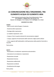 Argomenti del corso