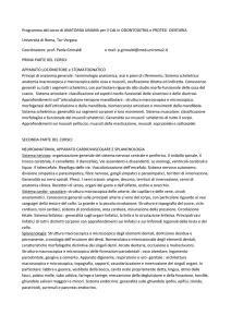 Anatomia umana - Corso di Laurea Specialistica e Magistrale in