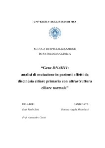 Come si definisce la DCP