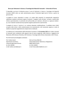 Borsa per Dottorato in Scienza e Tecnologia dei Materiali Innovativi