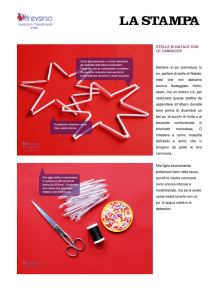 STELLE DI NATALE CON LE CANNUCCE Sembra un po