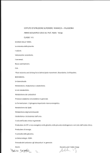 Scienze della Terra - IIS Ramacca
