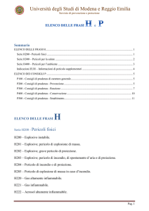 Indicazioni di pericolo H e consigli di prudenza P