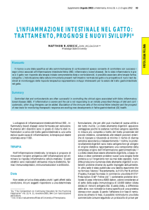 l`infiammazione intestinale nel gatto: trattamento