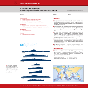 Il profilo batimetrico: morfologia dell`Atlantico settentrionale