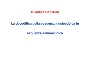 Traduzione