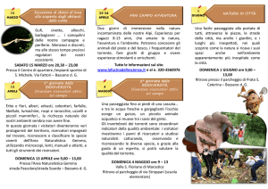 Gufi, civette, allocchi, barbagianni … i coinquilini delle nostre