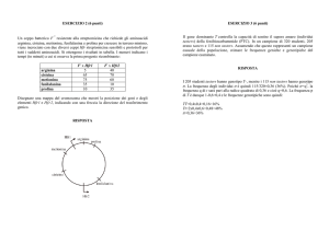 visualizza