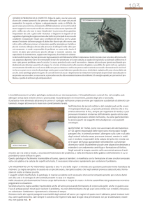 copertina MARZO 2013