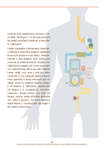 continuo e dal metabolismo cellulare, e vie