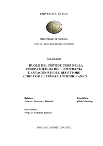 CGRP - Core