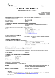 scheda di sicurezza