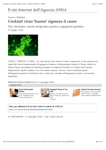 Cocktail virus `buono` rigenera il cuore - Scienza e Medicina
