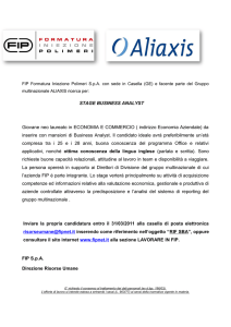 STAGE BUSINESS ANALYST Giovane neo laureato in ECONOMIA
