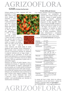 goji - Agrizooflora