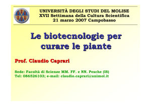 Caprari - Università degli Studi del Molise