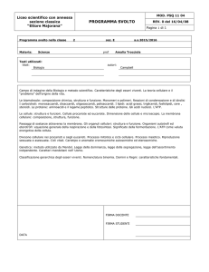 Programma svolto nella classe