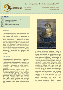 vai alla scheda - Sito Ufficiale della Federazione della Caccia Sicilia