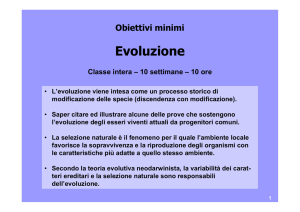 Evoluzione