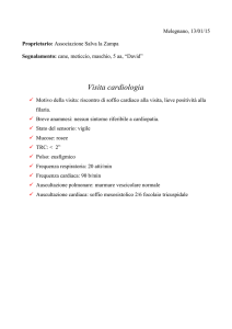 una visita con ecocardiogramma dal dott. Julini.